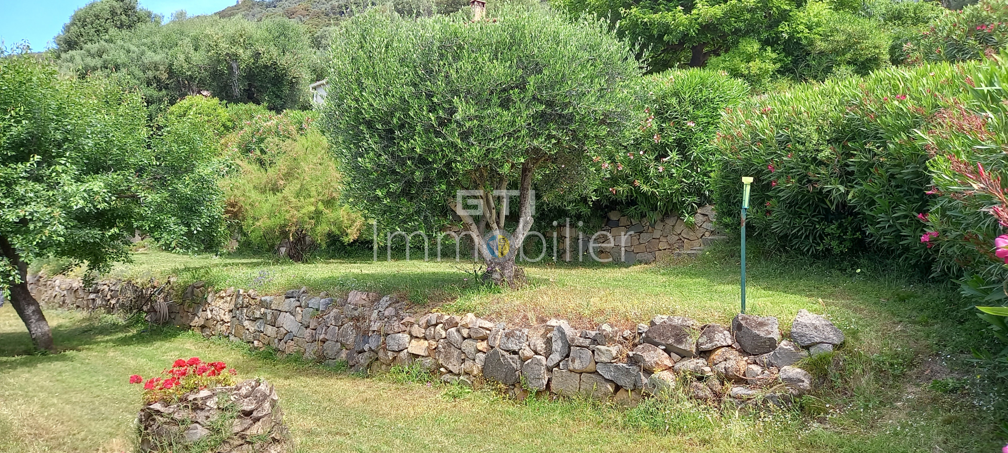 sale villa Olmeto ref2722